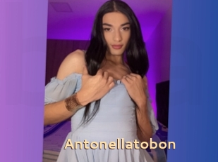 Antonellatobon