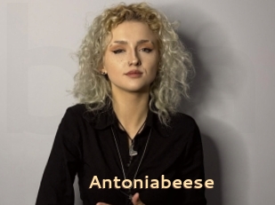 Antoniabeese