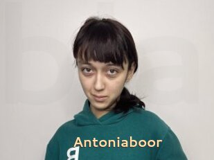 Antoniaboor