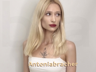 Antoniabracher