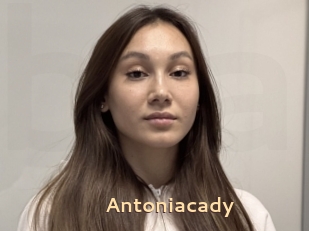 Antoniacady