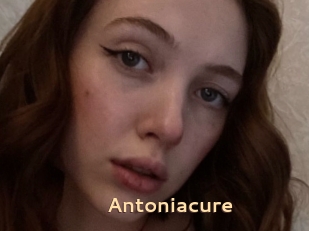 Antoniacure