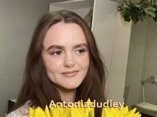 Antoniadudley