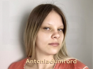 Antoniadumford