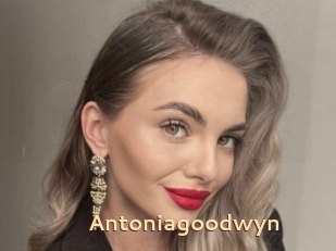 Antoniagoodwyn