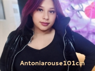 Antoniarouse101cm