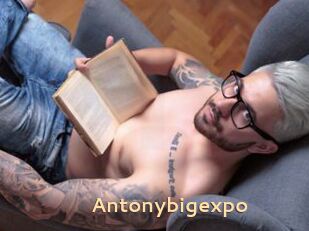 Antonybigexpo