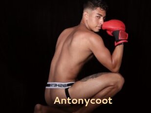 Antonycoot