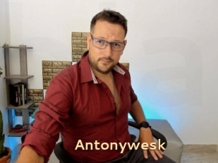 Antonywesk