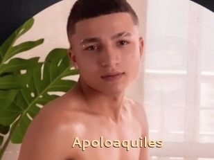 Apoloaquiles