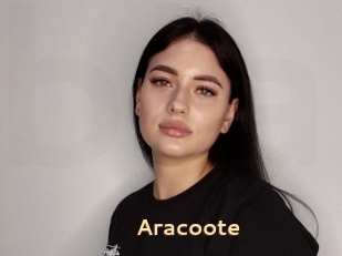 Aracoote