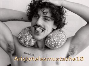 Aristotelesmustache18