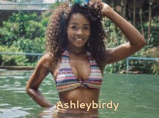 Ashleybirdy