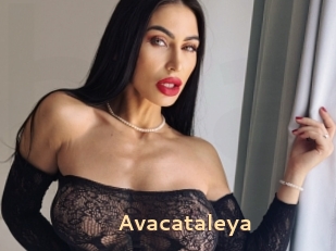 Avacataleya