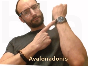 Avalonadonis