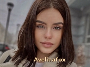 Avelinafox