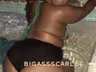 BIGASSSCARLET