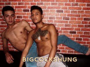 BIG_COCKS_HUNG