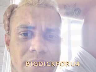 BIGDICKFORU4