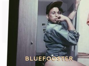 BLUEFOOSTER