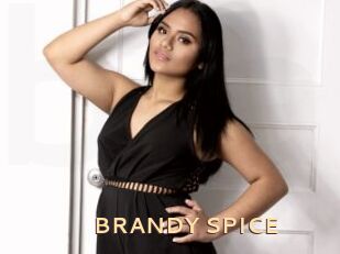 BRANDY_SPICE