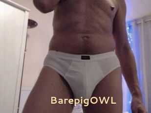 BarepigOWL