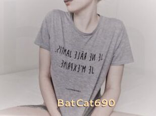 BatCat690