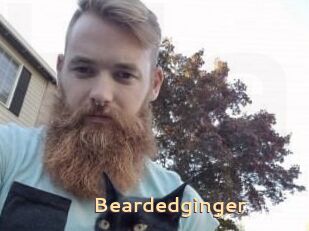 Beardedginger