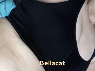 Bellacat