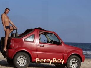 BerryBoy