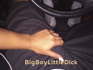 BigBoyLittleDick