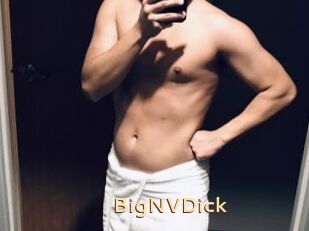 BigNVDick