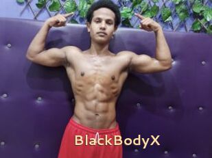 BlackBodyX