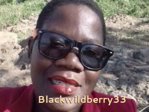 Blackwildberry33