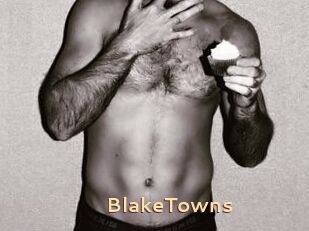 BlakeTowns