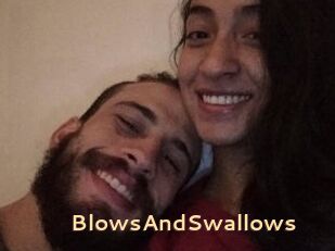 BlowsAndSwallows