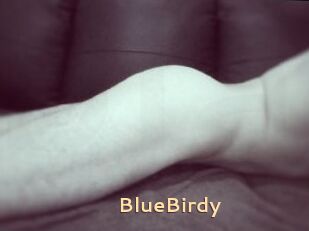 BlueBirdy