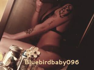 Bluebirdbaby096