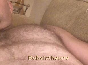 Bobsistheone