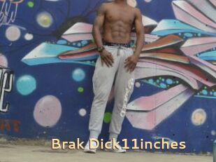 Brak_Dick11inches