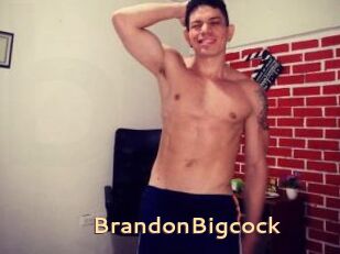 BrandonBigcock