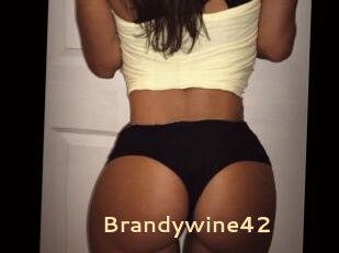 Brandywine42