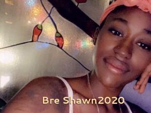 Bre_Shawn2020