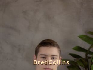 BredCollins