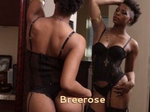 Breerose