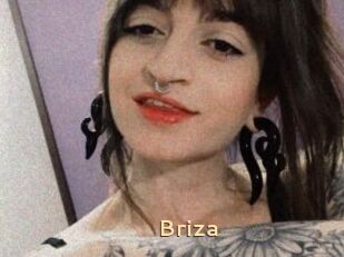 Briza