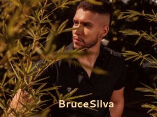 BruceSilva