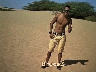 BruceZ