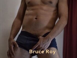 Bruce_Roy