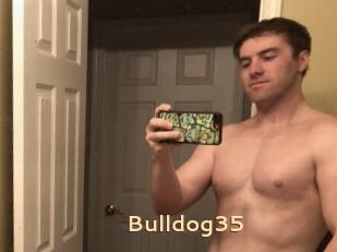 Bulldog35